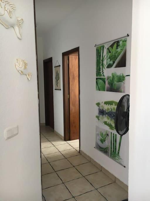 Apartamento Playero Privado Wifi- Morrojable Морро-дель-Хабле Екстер'єр фото